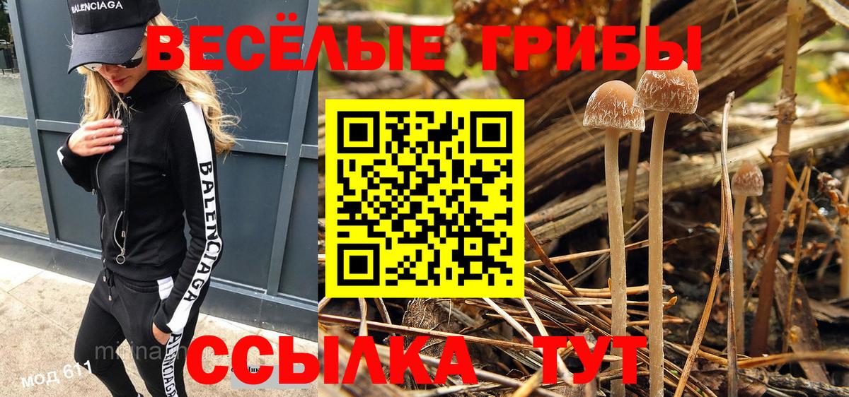 Заинск  Галлюциногенные грибы GOLDEN TEACHER  Галлюциногенные грибы мухоморы  Вход с VPN 